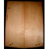 BEARCLAW, German spruce, 3A+, no. BC-18