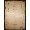 WRC, guitar top, acoustic size, 2013