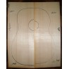 WRC, guitar top, acoustic size, 2013