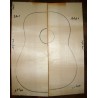 WRC, guitar top, acoustic size, 2013