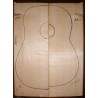 WRC, guitar top, acoustic size, 2013