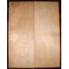ADIRONDACK (Red) Spruce MASTER grade